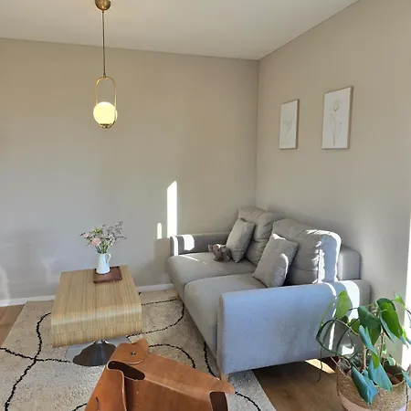 Apartment Mit Balkon In Lorrach